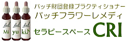大阪のバッチフラワーレメディはCRIイギリス伝統の植物療法　バッチフラワーレメディ　バッチ国際教育プログラムレベル1・個人セッションは大阪のCRI
